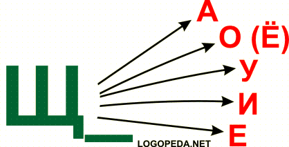Произносить (читать) слоги со звуком [Щ_]