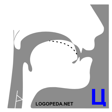 Особенности артикуляции звука Ц