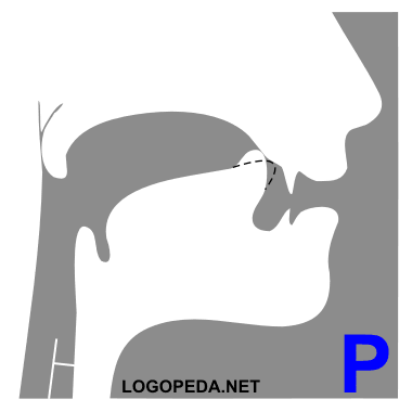 Особенности артикуляции звука Р